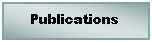 Text Box: Publications