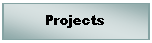 Text Box: Projects