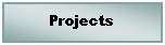Text Box: Projects