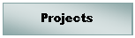 Text Box: Projects