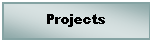 Text Box: Projects