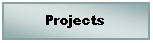 Text Box: Projects